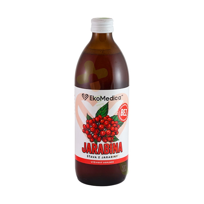 СИРОП ОТ ОФИКА 500 мл / EKO MEDICA ROWAN SYROP