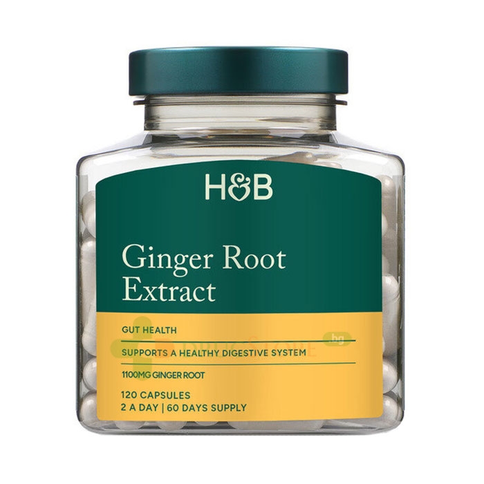 КОРЕН ОТ ДЖИНДЖИФИЛ капсули 550 мг 120 броя / HOLLAND &amp; BARRETT GINGER ROOT