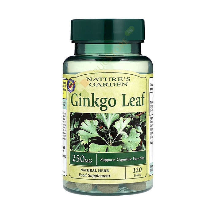 ГИНКО БИЛОБА ЛИСТ таблетки 250 мг 120 броя / HOLLAND BARRET NATURES GARDEN GINKGO LEAF