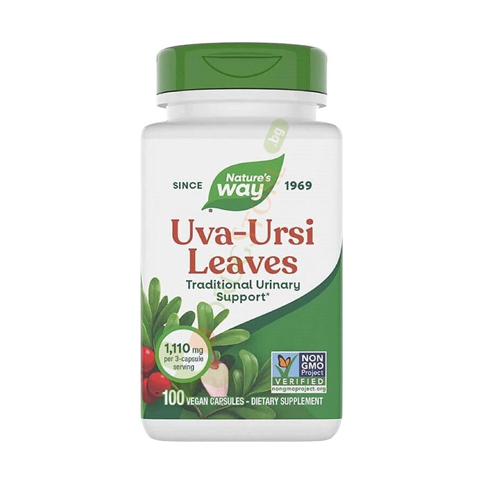МЕЧО ГРОЗДЕ ЛИСТ капсули 480 мг 100 броя / NATURE&#039;S WAY UVA URSI LEAVES