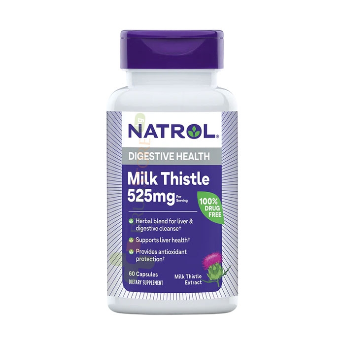 НАТРОЛ МАГАРЕШКИ БОДИЛ капсули 60 броя / NATROL MILK THISTLE ADVANTAGE