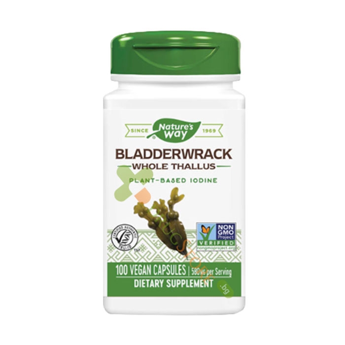 КАФЯВИ ВОДОРАСЛИ/ФУКУС капсули 580 мг 100 броя / NATURE&#039;S WAY BLADDERWRACK