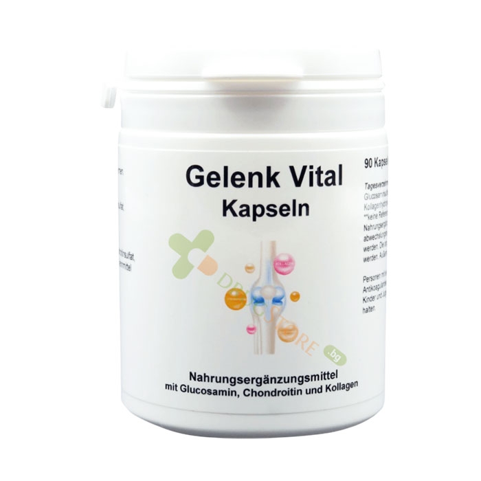ГЕЛЕНК ВИТАЛ капсули 90 броя / KARL MINCK GELENIC VITAL