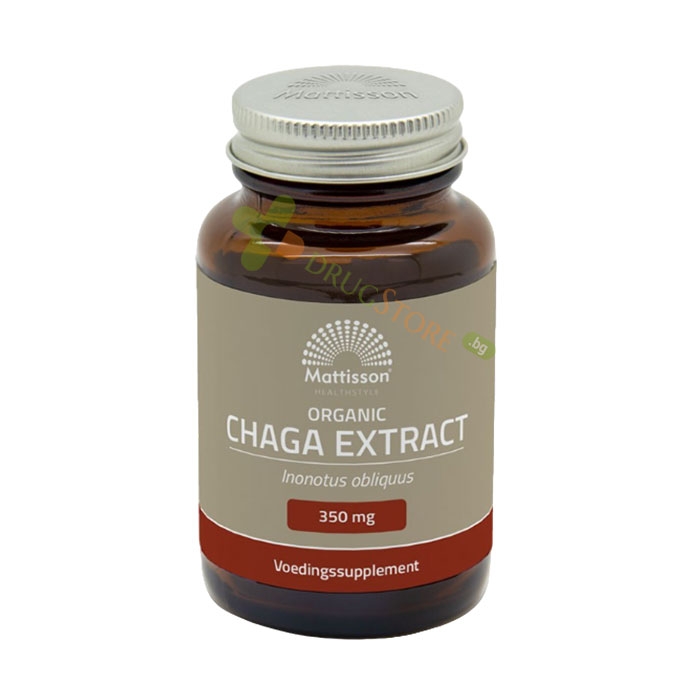 МАТИСЪН БИО ЧАГА капсули 350 мг 60 броя / MATTISSON HEALTHSTYLE ORGANIC CHAGA