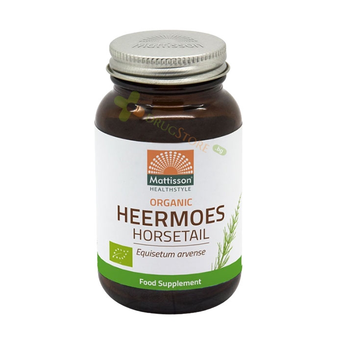 МАТИСЪН ПОЛСКИ ХВОЩ капсули 120 броя / MATTISSON HEALTHSTYLE BIO HORSETAIL