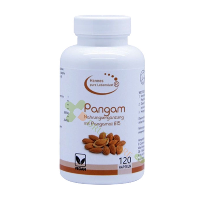 ПАНГАМ (ВИТАМИН B15) капсули 120 броя / EL COMPRA PANGAM (VITAMIN B15)