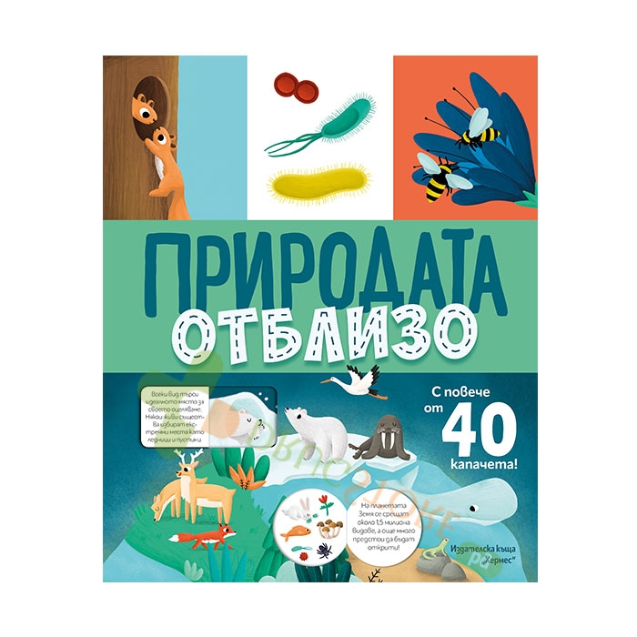 ПРИРОДАТА ОТБЛИЗО - ХЕРМЕС