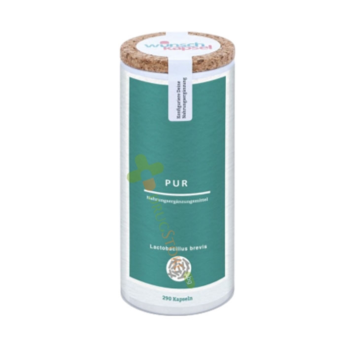 ПУР ПРОБИОТИК ЛАКТОБАЦИЛУС БРЕВИС капсули 290 броя / WUNSCHKAPSEL PUR PROBIOTIC LACTOBACILLUS BREVIS