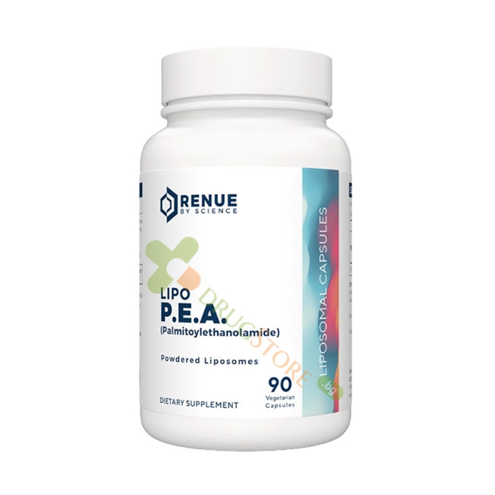 ЛИПОЗОМЕН ПАЛМИТОИЛЕТАНОЛАМИД (P.E.A.) капсули 90 броя / RENUE BY SCIENCE LIPO P.E.A.