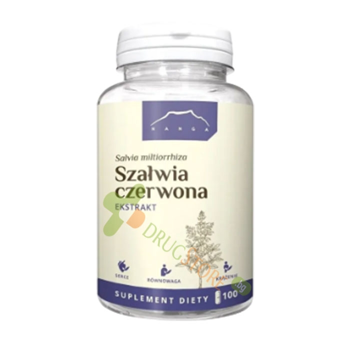 САЛВИЯ капсули 100 броя / NANGA SALVIA