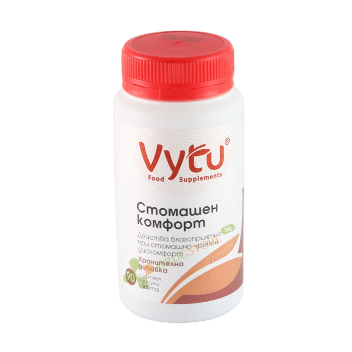 ВИТУ СТОМАШЕН КОМФОРТ капсули 500 мг 90 броя / VYTU STOMACH COMFORT