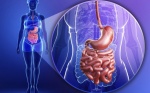 Защо за здравето ни е важно да имаме здраво дебело черво?