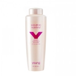 ШАМПОАН ЗА СЛЕД БОЯДИСВАНЕ ЯНГ ДЕФЕНД 1 л. / YOUNG DEFEND POST COLOR ANTI-FADE SHAMPOO