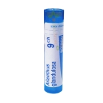 АИЛАНТУС ГЛАНДУЛОЗА 9 CH / BOIRON MONO AILANTHUS GLANDULOSA 9 CH