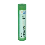 АРУМ ТРИФИЛУМ 5 CH / BOIRON MONO ARUM TRIPHYLLUM 5 CH
