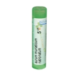 АУРУМ МУРИАТИКУМ НАТРОНАТУМ 5 CH / BOIRON MONO AURUM MURIATICUM NATRONATUM 5 CH