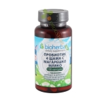БИОХЕРБА ПРОБИОТИК 4 ЩАМА С МАГАРЕШКО МЛЯКО + РИБОФЛАВИН капсули 100 броя / BIOHERBA PROBIOTIC 4 STRAINS WITH DONKEY MILK + RIBOFLAVIN 