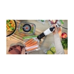 БОШ ПАСАТОР модел MSM4W421 / BOSCH BLENDER model MSM4W421