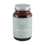 МАТИСЪН АМЛА капсули 60 броя / MATTISSON HEALTHSTYLE AMLA