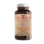 БОСВЕЛИЯ капсули 2000 мг 240 броя / FOCUS SUPPLEMENTS BOSWELLIA SERRATA 