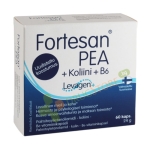 ФОРТЕСАН PEA + ХОЛИН + ВИТАМИН B6 капсули 60 броя / HANKINTATUKKU OY FORTESAN PEA + CHOLINE + VITAMIN B6 