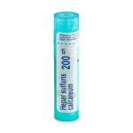 ХЕПАР СУЛФУРИС КАЛКАРЕУМ 200 СН / BOIRON MONO HEPAR SULFURIS CALCAREUM 200 CH