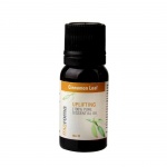 МИАРОМА ЕТЕРИЧНО МАСЛО ОТ КАНЕЛА 10 мл. / HOLLAND BARRETT MIAROMA PURE ESSENTIAL CINNAMON LEAF OIL