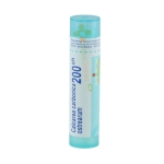 КАЛКАРЕА КАРБОНИКА 200 СН / CALCAREA CARBONICA OSTREARUM 200 CH
