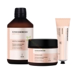 КОМПЛЕКТ KINESSENCES ANTIOX ШАМПОАН 300 мл+МАСКА 200 мл+КРЕМ 50 мл / KIN COSMETICS KINESSENCES ANTIOX SET SHAMPOO+MASK+CREAM