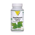КОПРИВА ЛИСТ капсули 500 мг 60 броя / VIT`ALL+ NETTLE LEAF 