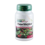 НЕЙЧЪРС ПЛЮС ХЕРБАЛ АКТИВС ГЛОГ капсули 150 мг 60 броя / NATURES PLUS HERBAL ACTIVES HAWTHORNE