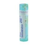 РУС ТОКСИКОДЕНДРОН 200 СН / BOIRON MONO RHUS TOXICODENDRON 200 CH
